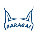 استخدام فروشنده حضوری (آقا) - کاراکال | caracal